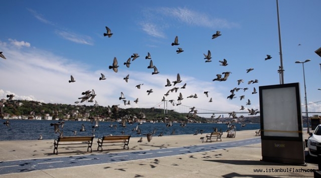 Sarıyer Hafta Sonu Sessizliğe Büründü