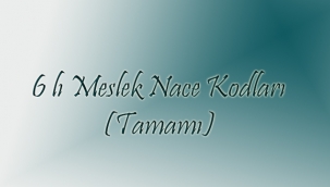 Meslek 6 lı Nace Kodları