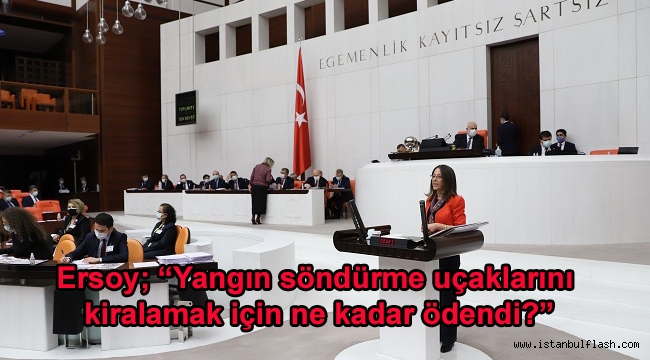 Ersoy; "Yangın söndürme uçaklarını kiralamak için ne kadar ödendi?"