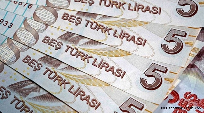 Yeni 5 ve 20 TL'lik Banknotlar Tedavüle Girdi