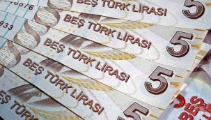 Yeni 5 ve 20 TL'lik Banknotlar Tedavüle Girdi