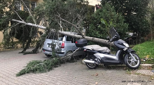 Şiddetli Lodos Olumsuz Etkiliyor