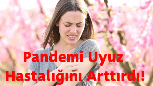 Pandemi Uyuz Hastalığını Arttırdı!