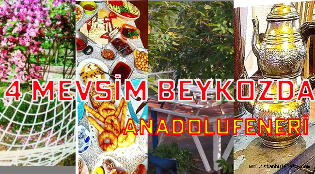 Anadolu Feneri Dört Mevsim Piknik Alanı