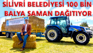 SİLİVRİ BELEDİYESİ 100 BİN BALYA SAMAN DAĞITIYOR