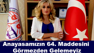 SANATÇILAR ODASI BAŞKANI "ANAYASAMIZIN 64. MADDESİNİ GÖRMEZDEN GELEMEYİZ!"