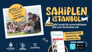 "SemPati" İle Can Dostlar Yuva Sahibi Oluyor