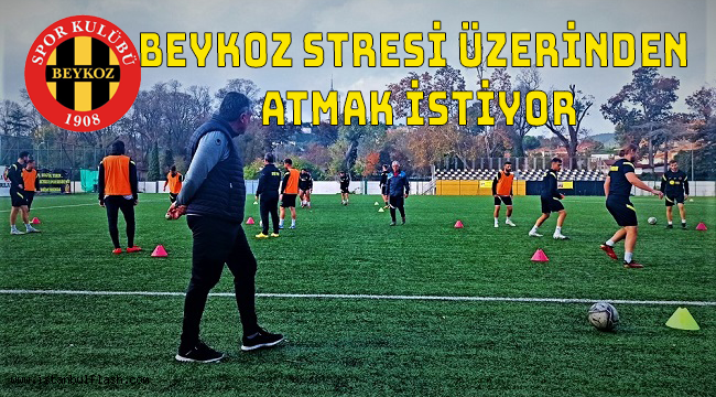 BEYKOZ STRESİ ÜZERİNDEN ATMAK İSTİYOR