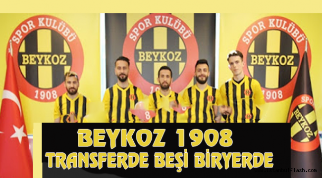 BEYKOZ 1908 A.Ş. TRANSVERDE BEŞİ BİR YERDE