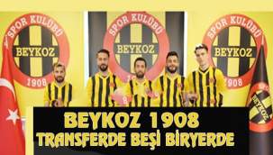 BEYKOZ 1908 A.Ş. TRANSVERDE BEŞİ BİR YERDE