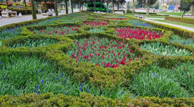 İSTANBUL'DA LALE ZAMANI