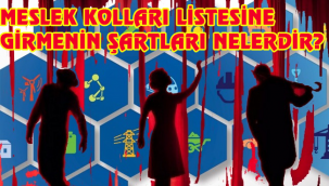 MESLEK KOLLARI LİSTESİNE GİRMENİN ŞARTLARI NELERDİR?