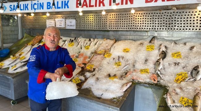 SICAKLIKLAR ARTTI BALIKLAR BUZA GÖMÜLDÜ