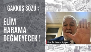 MHP ELAZIĞ BELEDİYE BAŞKAN ADAYI AYDIN: "ELAZIĞ'A ERKEK ADAM LAZIM"