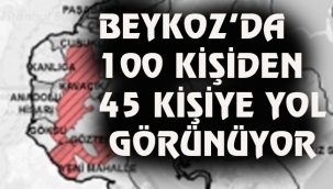 BEYKOZ'DA 100 KİŞİDEN 45 KİŞİYE YOL GÖRÜNÜYOR 