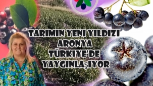 Tarımın Yeni Yıldızı Aronya Türkiye'de Yaygınlaşıyor