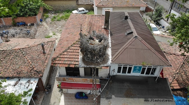 TREDAŞ'IN PLATFORMUNA YUVA YAPAN "GELENDOST", CANLI YAYINLA TAKİPTE