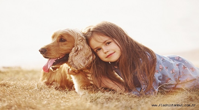 YAŞLANAN KÖPEĞİNİZ İÇİN BAKIM REHBERİ