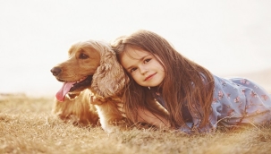 YAŞLANAN KÖPEĞİNİZ İÇİN BAKIM REHBERİ