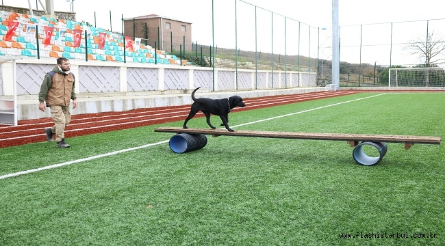 ARAMA KURTARMA KÖPEKLERİ HAKEM SEMİNERİ ÇEKMEKÖY'DE DÜZENLENDİ