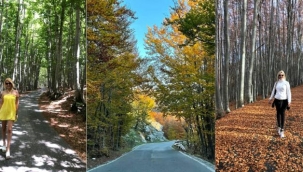 DOĞA HARİKASI LOVCEN VE DÜNYANIN EN YÜKSEK MOZOLESİ