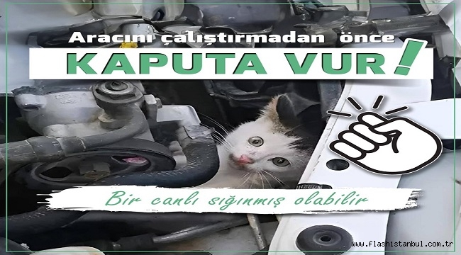 MALTEPE BELEDİYESİ'NDEN SÜRÜCÜLERE "KAPUTA VURUN" ÇAĞRISI