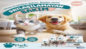 PET LOVE İLE EVCİL HAYVANLARA KIŞ BAKIMI