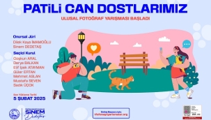 ÜSKÜDAR BELEDİYESİ "PATİLİ CAN DOSTLARIMIZ" ULUSAL FOTOĞRAF YARIŞMASI BAŞLADI