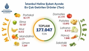  İSTANBUL'DA PORTAKAL VE DOMATES ZİRVEDE