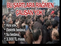 Bu sektör çalışacak personel bulamıyor !