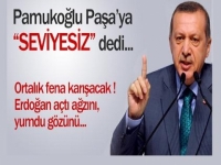 Erdoğan, Pamukoğlu'na ''Seviyesiz'' dedi