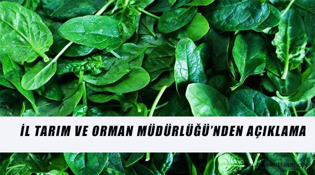 İl Tarım ve Orman Müdürlüğü'nden Açıklama