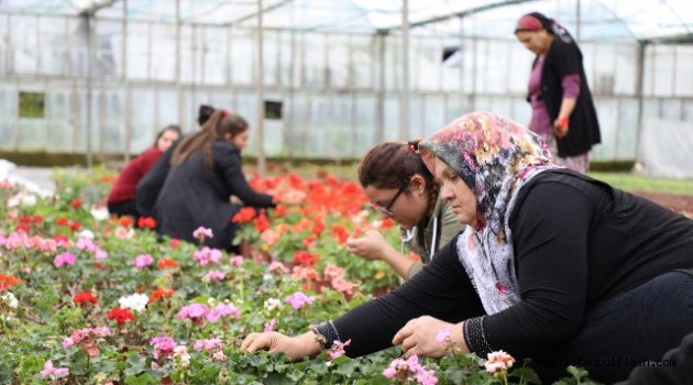 Muğlalı çiftçiye alım garantili "süs bitkisi" desteği