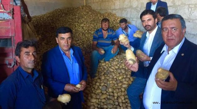 Patates ve soğan üreticisine darbe