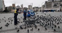 İstanbul'un Can Dostları Zabıtaya Emanet