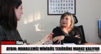 Mahallemiz Minibüs Terörüne Maruz Kalıyor