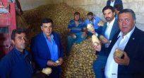 Patates ve soğan üreticisine darbe