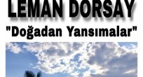 Doğadan Yansımalar 2