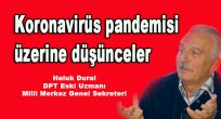 Koronavirüs pandemisi üzerine düşünceler